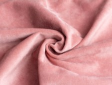 Freska Rose